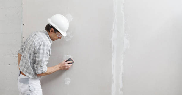 Best Drywall Removal and Disposal  in St Lawrence, PA